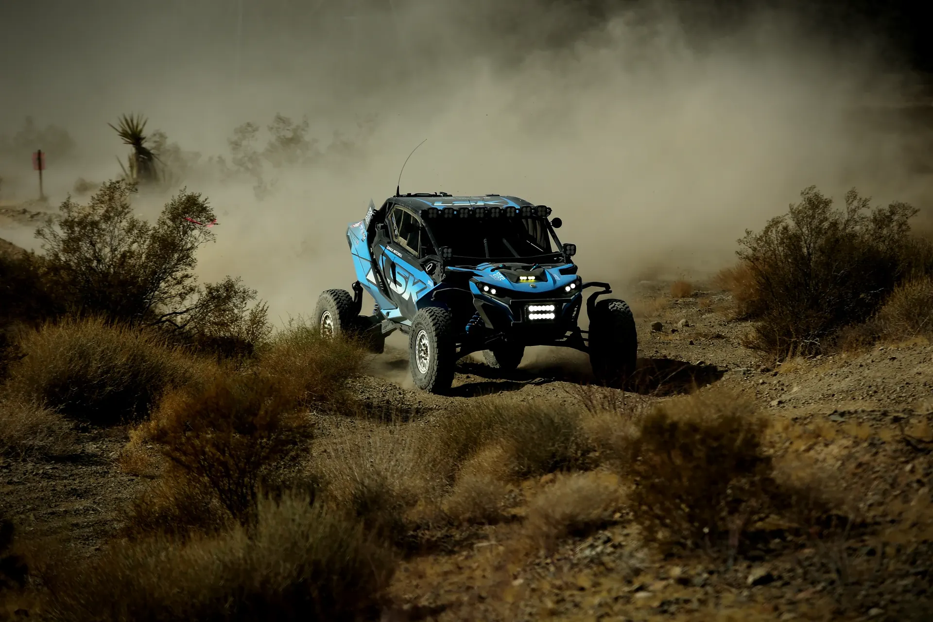 UTV Cages